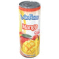 Latin Fusion Drinks - Mango 24 / 16 OZ